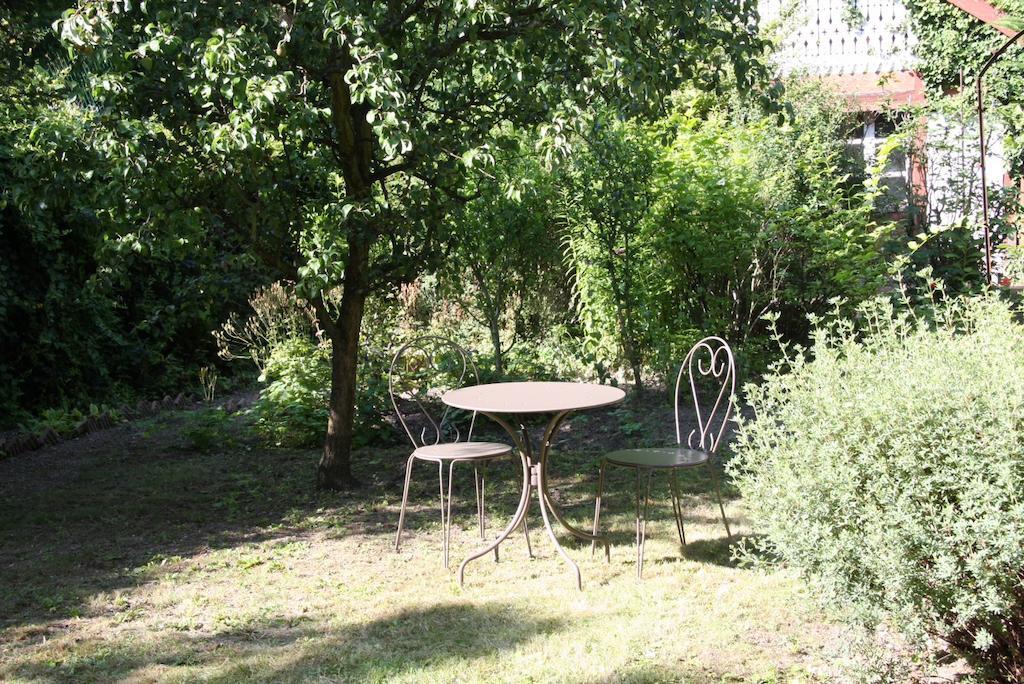 Апартаменти Studio De La Petite Venise Кольмар Екстер'єр фото